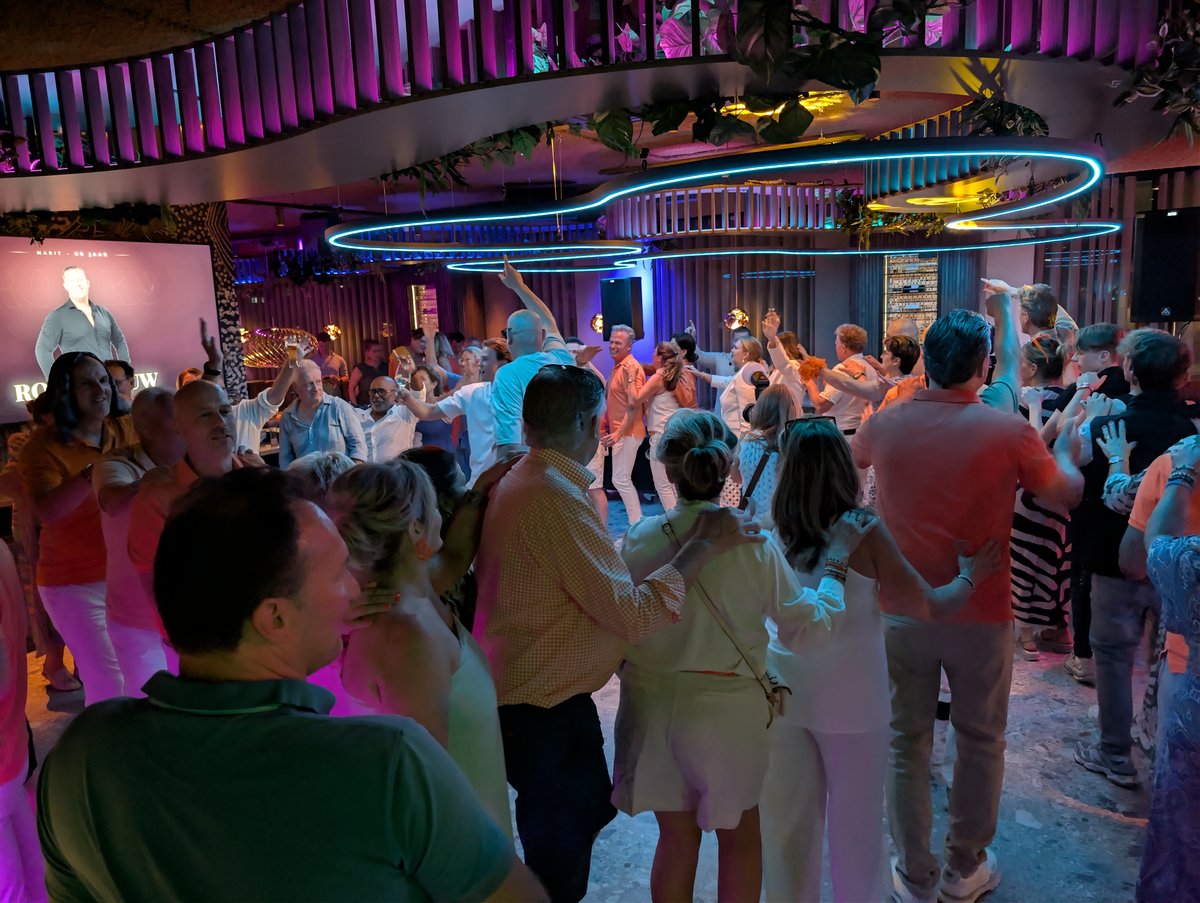 Feestend publiek met opgeheven armen onder neon-verlichting